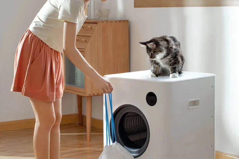 Best Litter Box for Large Cats