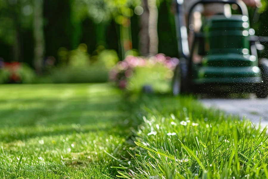 good cordless lawn mower