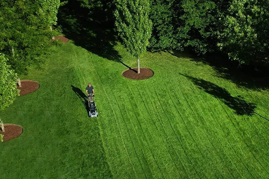 propelled lawn mower